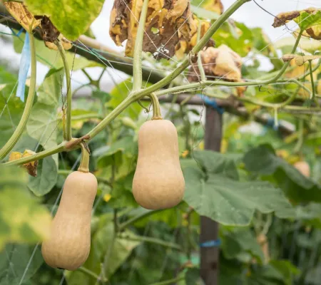 Shutterstock 2309068313 min