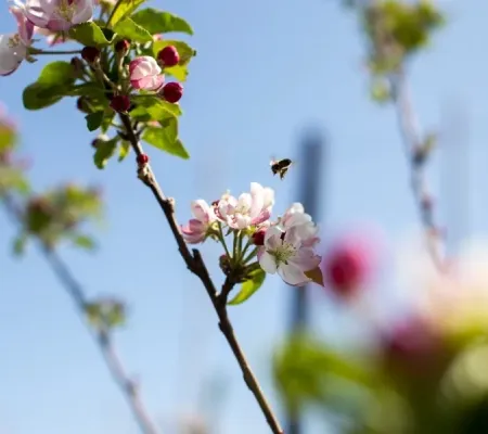 Ee6b89368df3805626d31bc4d76020d7