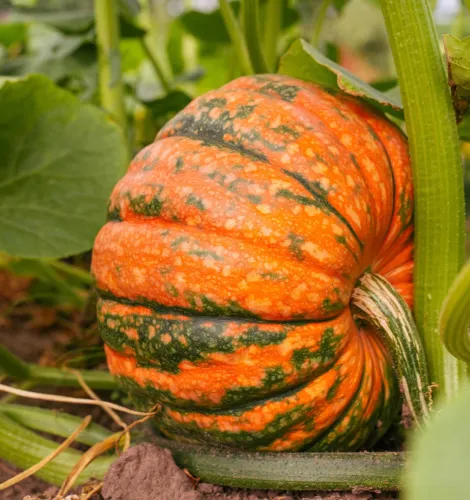 Shutterstock 2197979553 min