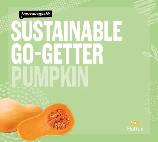 Puurhutten JPEG Q4 20258