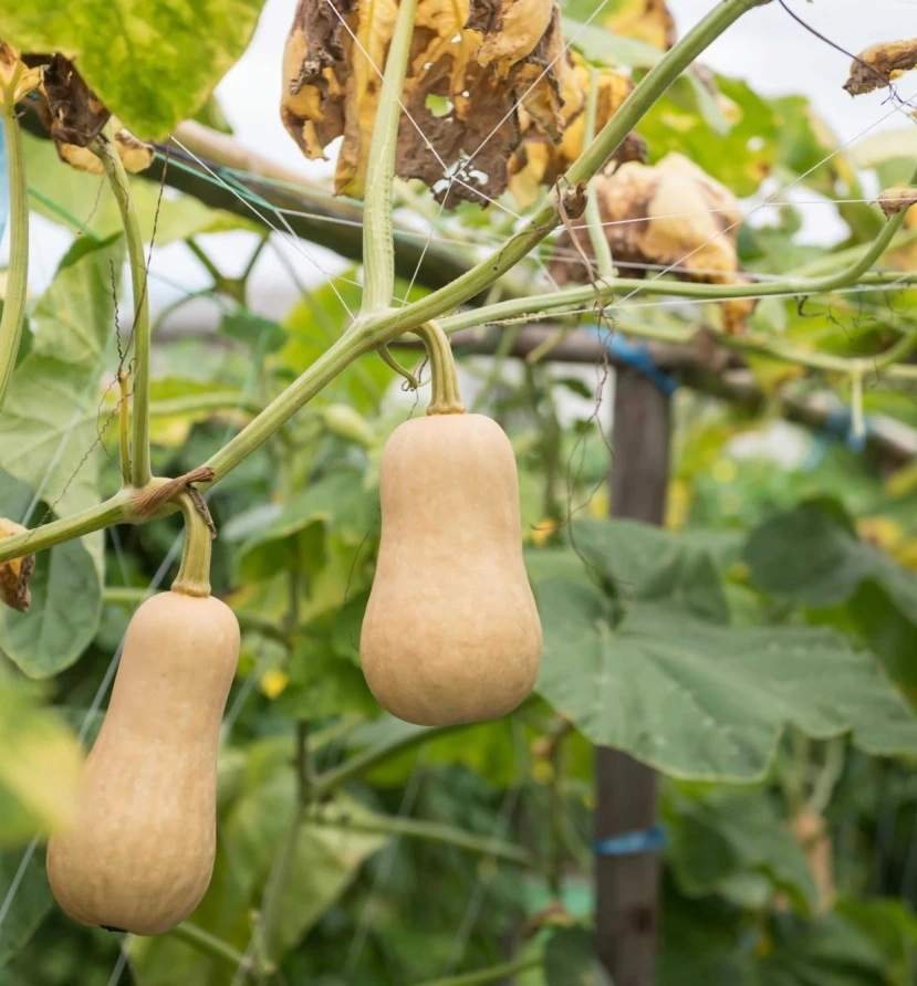 Shutterstock 2309068313 min