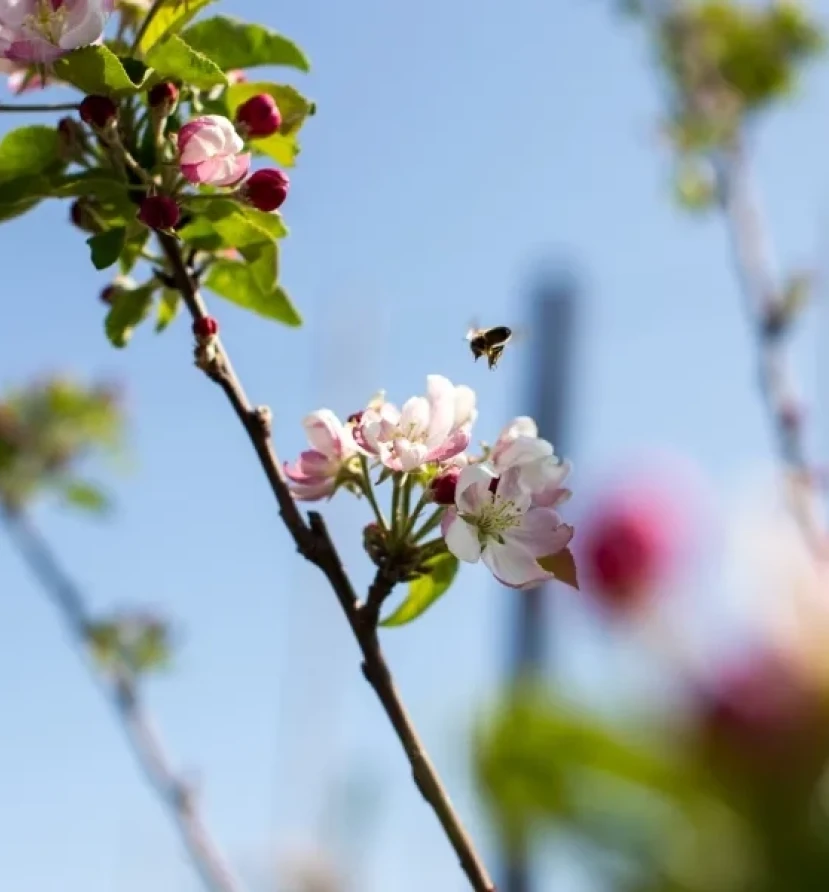 Ee6b89368df3805626d31bc4d76020d7